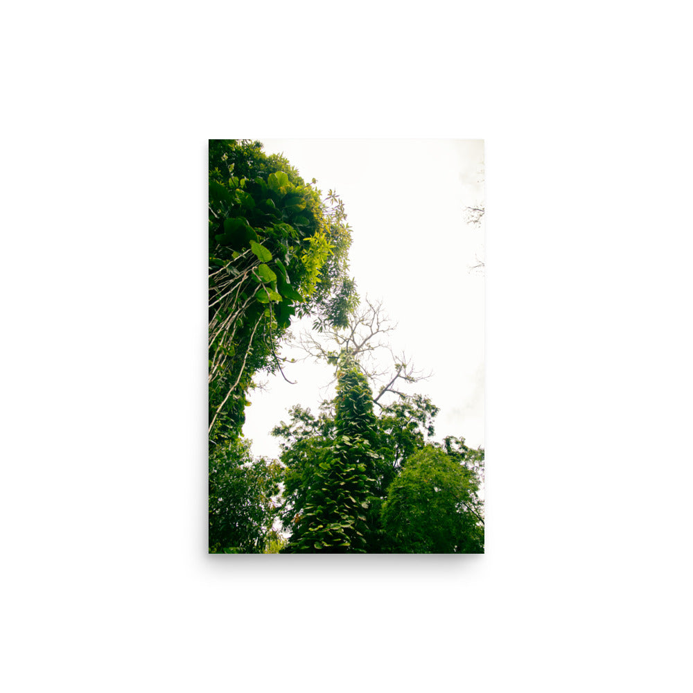 Ke'anae Arboretum | Maui, Hawaii
