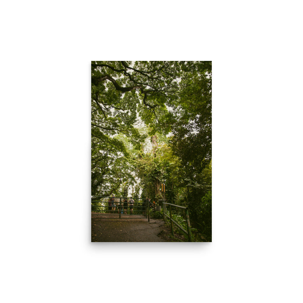 Ke'anae Arboretum | Maui, Hawaii