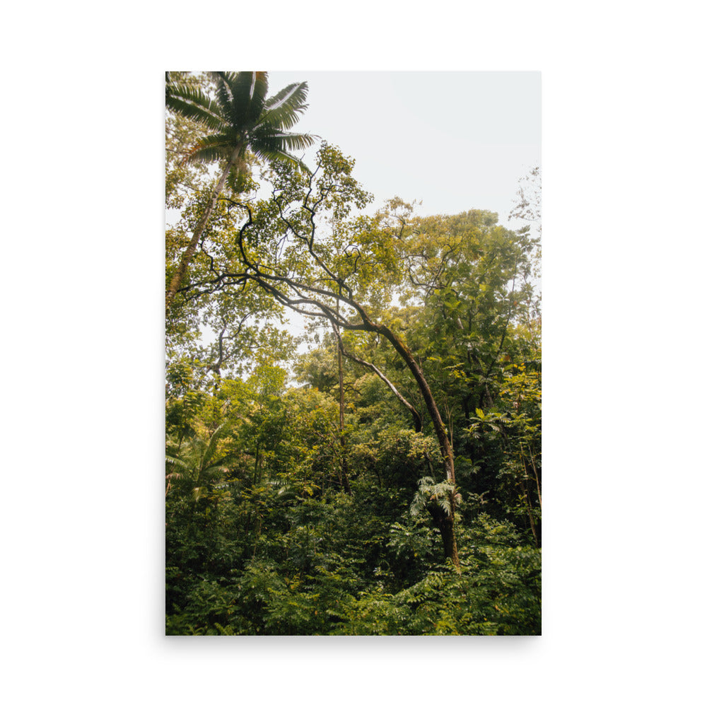 Ke'anae Arboretum | Maui, Hawaii
