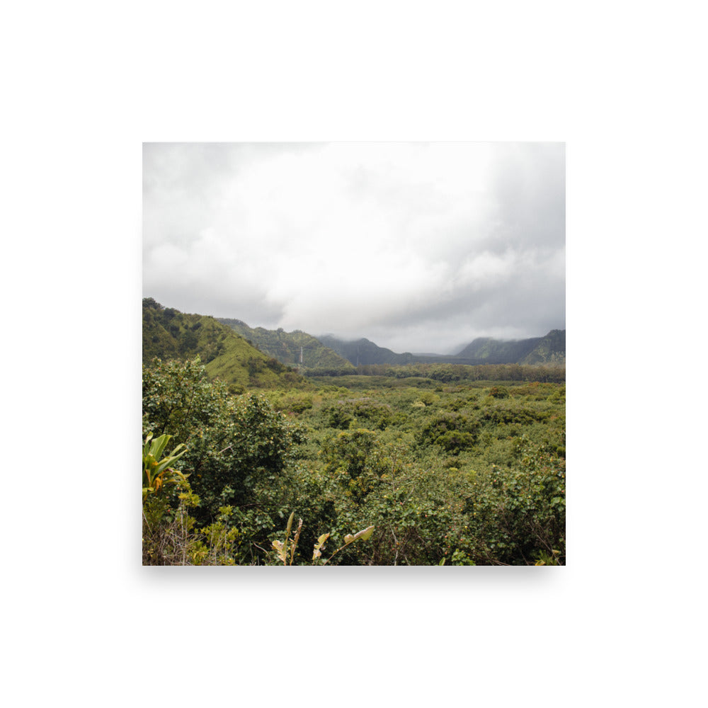 Wailua Valley Lookout | Maui, Hawaii