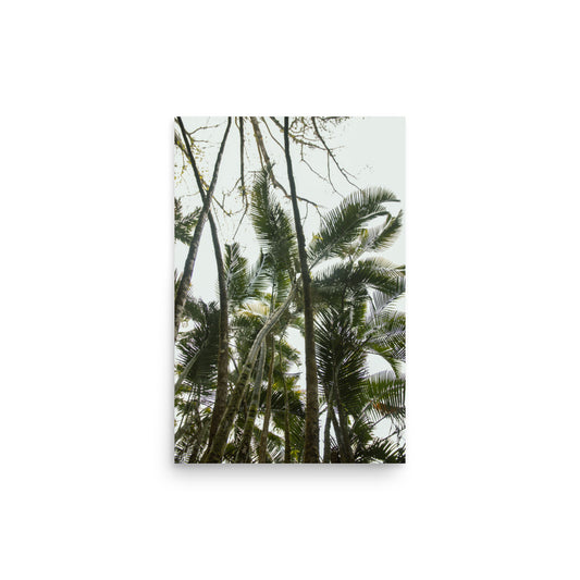 Ke'anae Arboretum | Maui, Hawaii