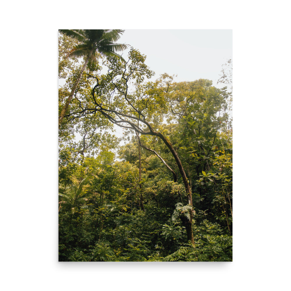 Ke'anae Arboretum | Maui, Hawaii