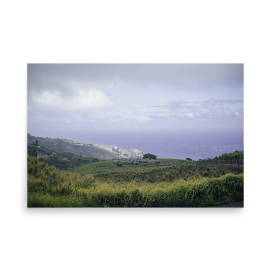 Waihee Ridge Trail Ranch | Maui, Hawaii