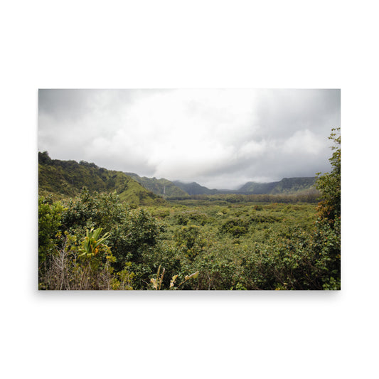Wailua Valley Lookout | Maui, Hawaii
